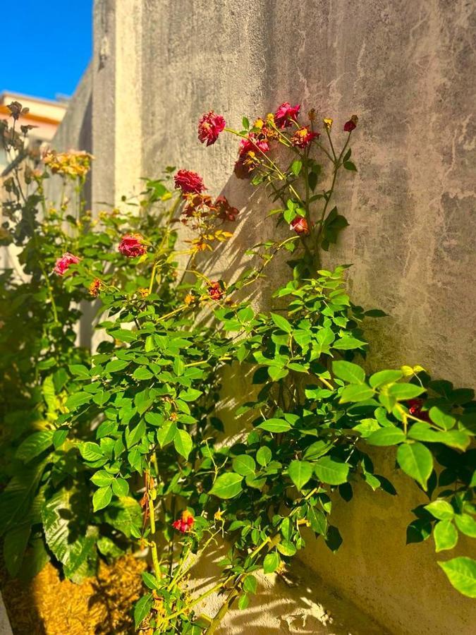 Lisabonna Guest House أمادورا المظهر الخارجي الصورة